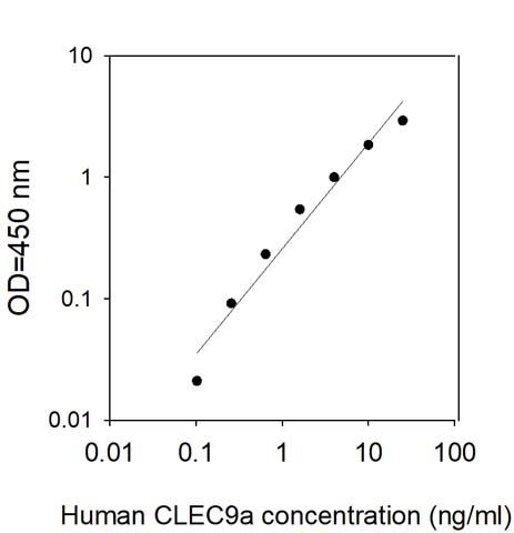 Sandwich ELISA - Human CLEC9A ELISA Kit (AB309389)