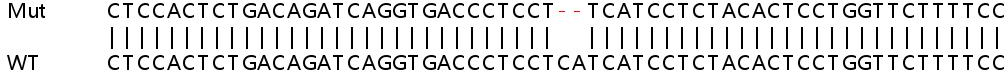 Sanger Sequencing - Human CLK1 knockout HeLa cell lysate (AB258819), expandable thumbnail
