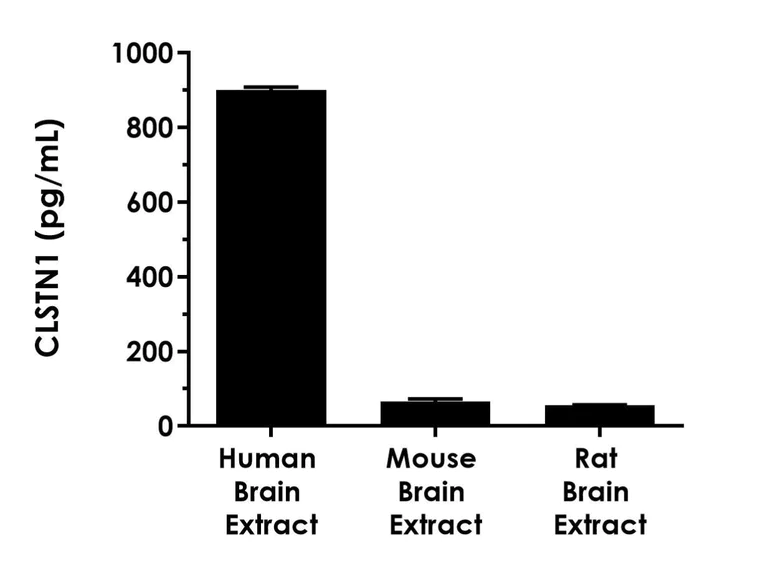Sandwich ELISA - Human CLSTN1 ELISA Kit- intracellular (AB316260)