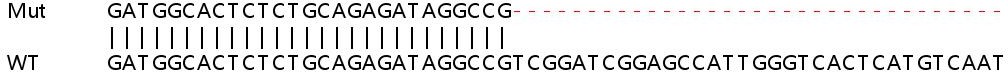 Sanger Sequencing - Human CLTCL1 knockout HeLa cell line (AB264969), expandable thumbnail