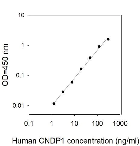 Sandwich ELISA - Human CNDP1/CN1 ELISA Kit (AB313535)
