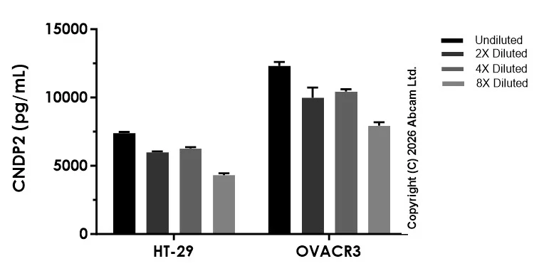 Sandwich ELISA - Anti-Human CNDP2/CN2 antibody [EPR30658-87] - BSA and Azide free (Detector) (AB326873)