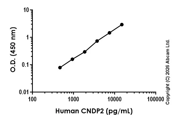Sandwich ELISA - Anti-Human CNDP2/CN2 antibody [EPR30658-92] - BSA and Azide free (Capture) (AB326872)