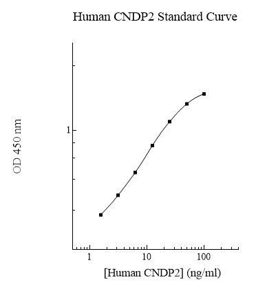 Sandwich ELISA - Human CNDP2/CN2 ELISA Kit (AB283983)