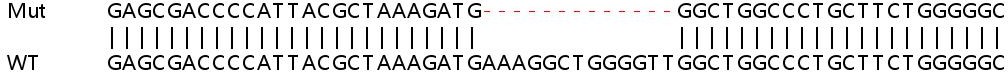 Sanger Sequencing - Human CNPY2 (MSAP) knockout HEK-293T cell lysate (AB258822)