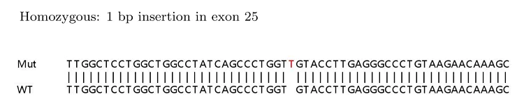 Sanger Sequencing - Human COL4A1 (Collagen IV alpha 1) knockout HeLa cell lysate (AB263755)