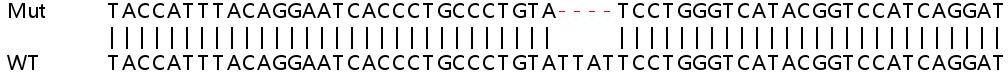 Sanger Sequencing - Human COL4A6 (Collagen IV alpha 6) knockout HeLa cell line (AB265914), expandable thumbnail