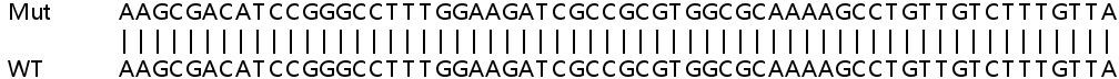 Sanger Sequencing - Human COL5A1 knockout HeLa cell lysate (AB258374), expandable thumbnail
