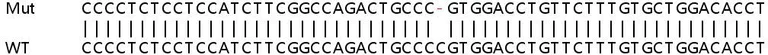 Sanger Sequencing - Human COL6A1 knockout HEK-293T cell line (AB265060)