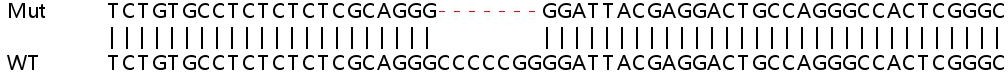 Sanger Sequencing - Human COL9A3 knockout HeLa cell lysate (AB258375), expandable thumbnail