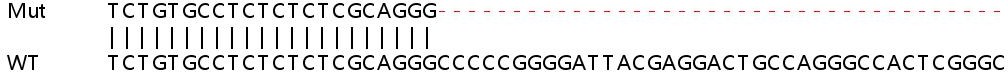 Sanger Sequencing - Human COL9A3 knockout HeLa cell lysate (AB258375), expandable thumbnail