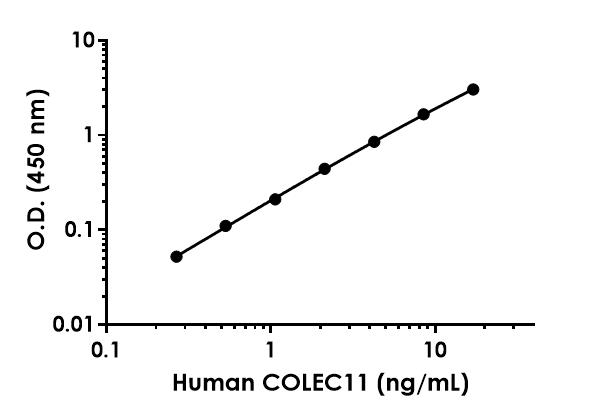 Sandwich ELISA - Human COLEC11 Antibody Pair - BSA and Azide free (AB253860)