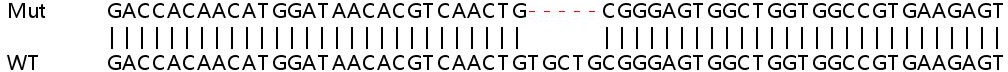 Sanger Sequencing - Human COLGALT1 (GLT25D1) knockout HEK-293T cell lysate (AB258825), expandable thumbnail
