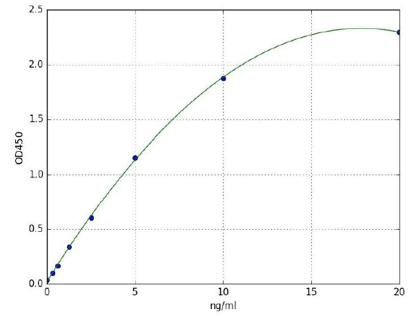 ELISA - Human Collagen Type I ELISA Kit (AB285250)