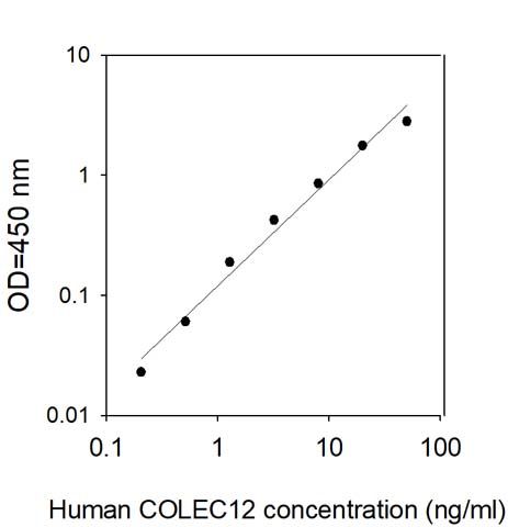 Sandwich ELISA - Human Collectin-12 ELISA Kit (AB313538), expandable thumbnail
