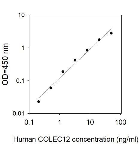 Sandwich ELISA - Human Collectin-12 ELISA Kit (AB313538)