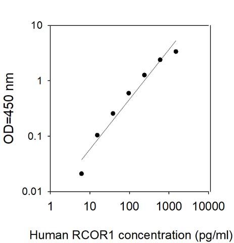 Sandwich ELISA - Human CoREST ELISA Kit (AB314376), expandable thumbnail