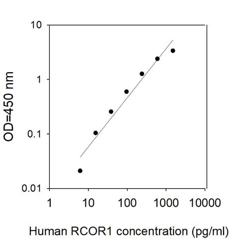 Sandwich ELISA - Human CoREST ELISA Kit (AB314376)