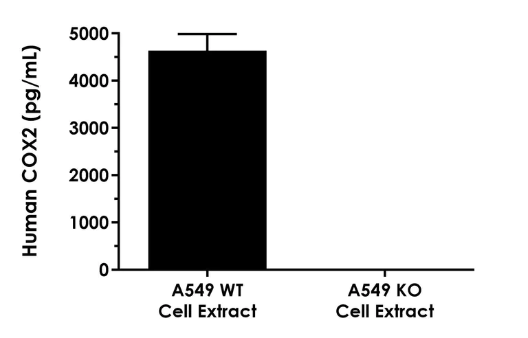 Sandwich ELISA - Human COX2/Cyclooxygenase 2 ELISA Kit (AB325256)