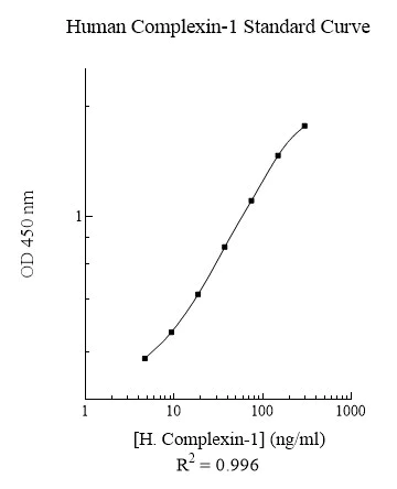 Sandwich ELISA - Human CPLX1 ELISA Kit (AB283984)