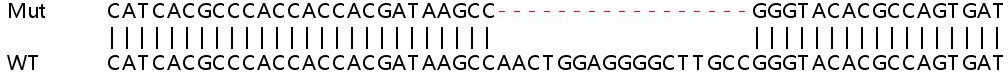 Sanger Sequencing - Human CPT1A knockout HEK-293T cell lysate (AB256880), expandable thumbnail