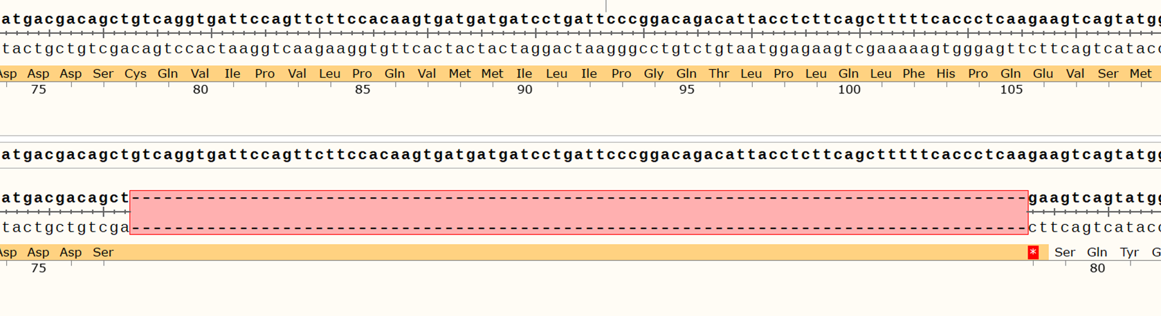 Sanger Sequencing - Human CRBN knockout HCT116 cell line (AB289186), expandable thumbnail