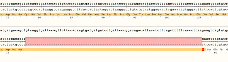 Sanger Sequencing - Human CRBN knockout HCT116 cell line (AB289186)