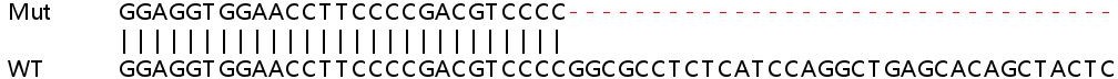 Sanger Sequencing - Human CREB3L2 (BBF2H7) knockout HeLa cell lysate (AB258831), expandable thumbnail