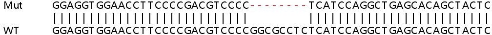 Sanger Sequencing - Human CREB3L2 (BBF2H7) knockout HeLa cell lysate (AB258831), expandable thumbnail