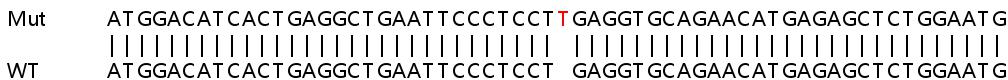 Sanger Sequencing - Human CREB5 knockout HeLa cell line (AB264752)