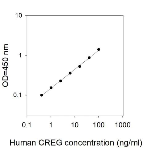 Sandwich ELISA - Human CREG1/CREG ELISA Kit (AB313539)