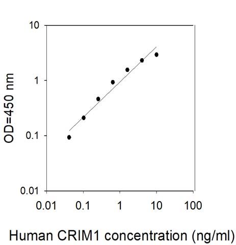 Sandwich ELISA - Human CRIM1 ELISA Kit (AB313677), expandable thumbnail