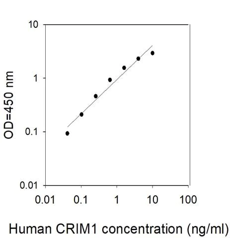 Sandwich ELISA - Human CRIM1 ELISA Kit (AB313677)