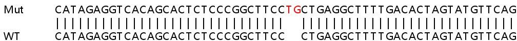 Sanger Sequencing - Human CRIM1 knockout HEK-293T cell lysate (AB258832)
