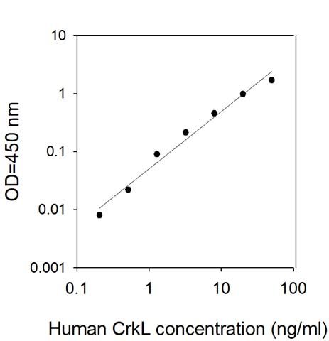 Sandwich ELISA - Human CrkL ELISA Kit (AB313679), expandable thumbnail