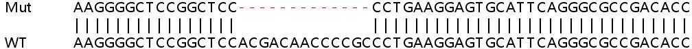 Sanger Sequencing - Human CRY1 (Cryptochrome I) knockout HeLa cell lysate (AB258382), expandable thumbnail
