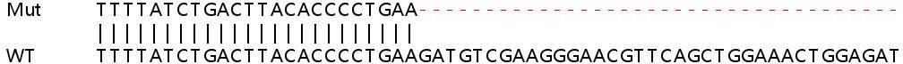 Sanger Sequencing - Human CSDE1 (NRU) knockout HeLa cell line (AB265919), expandable thumbnail