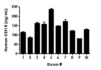 Sandwich ELISA - Human CSF-1-R ELISA Kit, Chemiluminescent (AB327070)