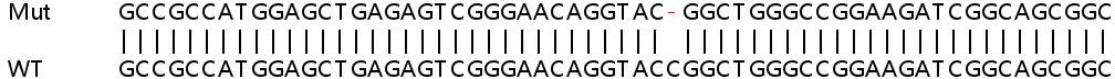 Sanger Sequencing - Human CSNK1D (Casein Kinase 1 delta) knockout HeLa cell lysate (AB258383), expandable thumbnail