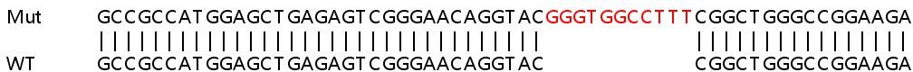 Sanger Sequencing - Human CSNK1D (Casein Kinase 1 delta) knockout HeLa cell lysate (AB258383), expandable thumbnail