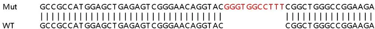 Sanger Sequencing - Human CSNK1D (Casein Kinase 1 delta) knockout HeLa cell lysate (AB258383)