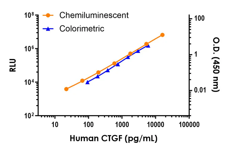 Sandwich ELISA - Human CTGF ELISA Kit, Chemiluminescent (AB325620)