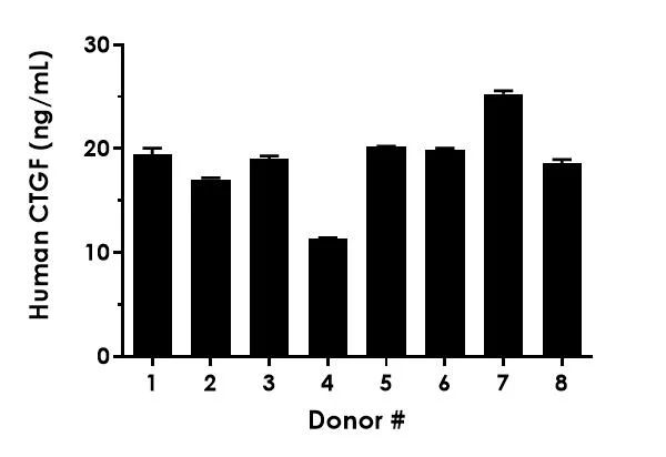 Sandwich ELISA - Human CTGF ELISA Kit, Chemiluminescent (AB325620)
