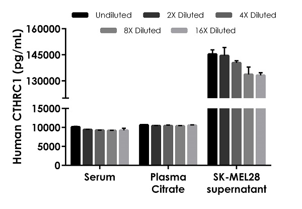 Sandwich ELISA - Human CTHRC1 ELISA Kit (AB274399), expandable thumbnail