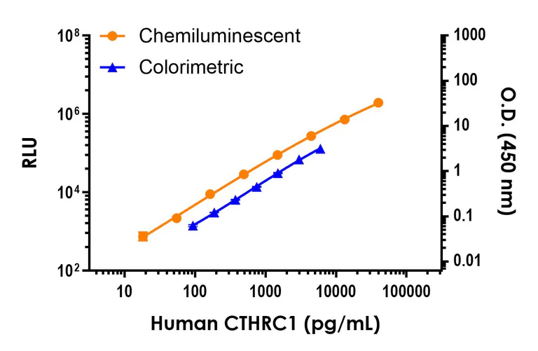 Sandwich ELISA - Human CTHRC1 ELISA Kit, Chemiluminescent (AB325998)