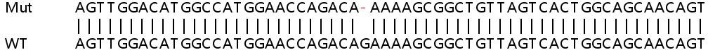 Sanger Sequencing - Human CTNNB1 (beta Catenin) knockout HeLa cell line (AB255352), expandable thumbnail
