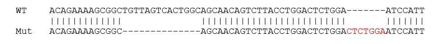 Sanger Sequencing - Human CTNNB1 knockout HCT116 cell line (AB273712), expandable thumbnail