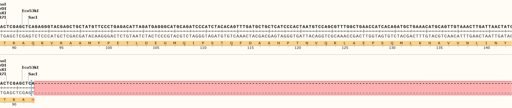 Next Generation Sequencing - Human CTNNB1 knockout MCF7 cell line (AB286762), expandable thumbnail