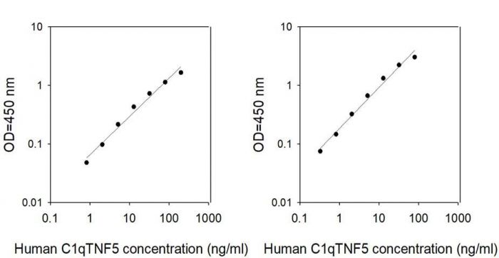 Sandwich ELISA - Human CTRP5 ELISA Kit (AB313517)