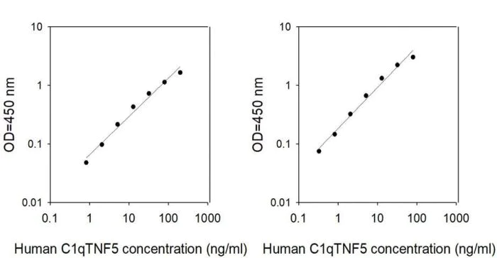 Sandwich ELISA - Human CTRP5 ELISA Kit (AB313517)